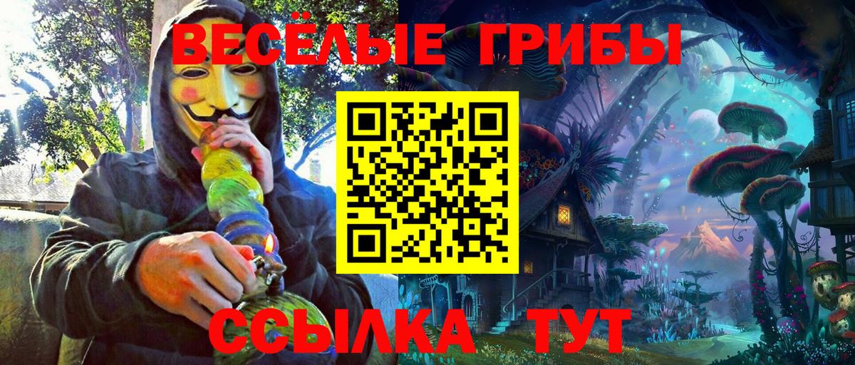 Ярцево  Галлюциногенные грибы Psilocybine cubensis  Вход с VPN 